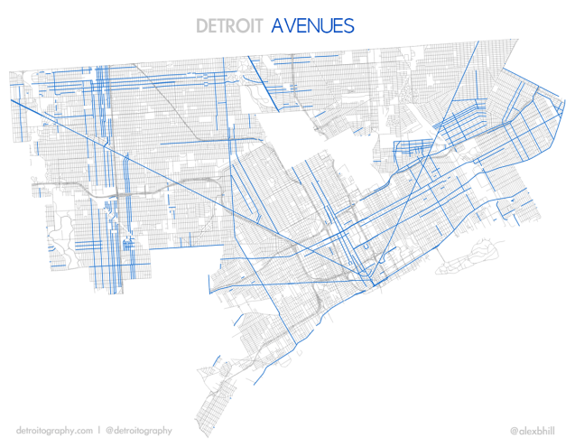 detroit_aves